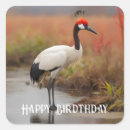 Search for cranes stickers Bird