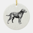Search for chesapeake bay retriever christmas tree decorations Animal