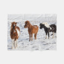 Search for icelandic horse Farm