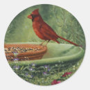 Search for cardinals stickers Birds