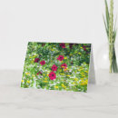 Search for red wildflowers cards Yellow