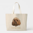 Search for cocker accessories Pets