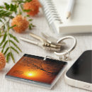 Search for collectable photography Nature