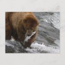 Search for catch horizontal postcards Bear