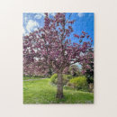 Search for cherry tree puzzles Floral