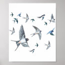 Search for ornithologist posters Birds