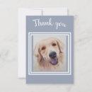 Search for golden puppy cards Best friends