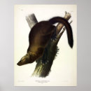 Search for fisher posters Colour