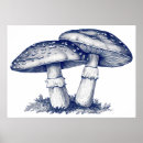 Search for mushroom drawing art Nature