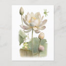 Search for lotus flower birthday cards Nature