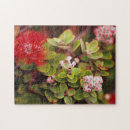 Search for hawaii volcano puzzles Big island