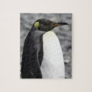 Search for penguin puzzles Animal