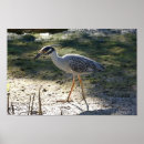 Search for darling art Florida