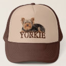 Search for yorkies hats Puppies