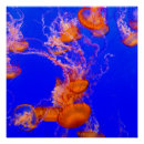 Search for aquariums posters Underwater photography