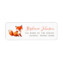 Search for cute fox Watercolor