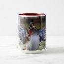 Search for wood duck mugs Birds