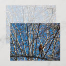 Search for higher postcards Animal