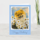 Search for pomeranian birthday cards Puppy