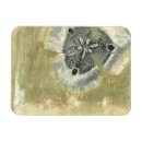 Search for texture pattern magnets Abstract