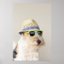 Search for fox terrier posters Pet