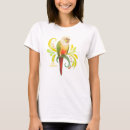 Search for conure tshirts Bird