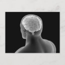 Search for human brain postcards Medicine