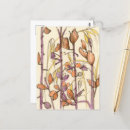 Search for fall flower postcards Autumn flowers