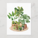 Search for houseplant postcards Potted plant