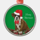 Search for boxer dog christmas tree decorations Cute