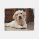 Search for labrador blankets Yellow