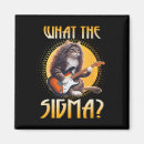 Search for sigma magnets Black cat