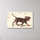 Search for puppy canvas prints Sand
