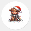 Search for highland cows stickers Moo