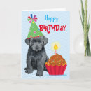 Search for des cards Bouvier des flandres