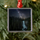 Search for british columbia christmas tree decorations Forest
