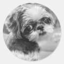 Search for dog envelope seals Black