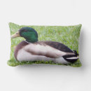 Search for duck home living Grass
