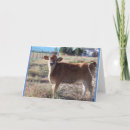 Search for jersey cards Farm