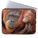 Search for primates laptop cases Orangutan