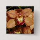 Search for orchids badges Nature