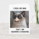 Search for disguised cards Cat