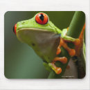 Search for tree frog mousepads Animals