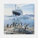 Search for icy magnets Ice