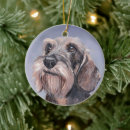 Search for long haired dachshund christmas tree decorations Pet