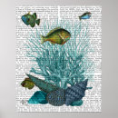 Search for antique fish print posters Contemporary