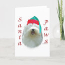 Search for old english sheepdog cards Breed