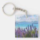 Search for lake key rings Nature