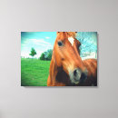 Search for gelding Sorrel