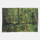 Search for undergrowth Forests